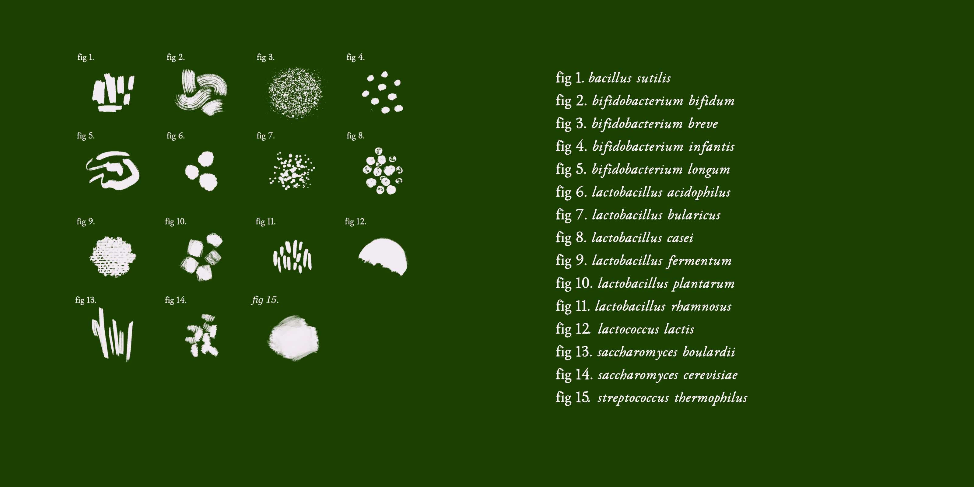 How diverse is your probiotic?