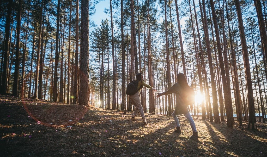 Stress, gut health, and the microbiome: how to support your gut brain axis