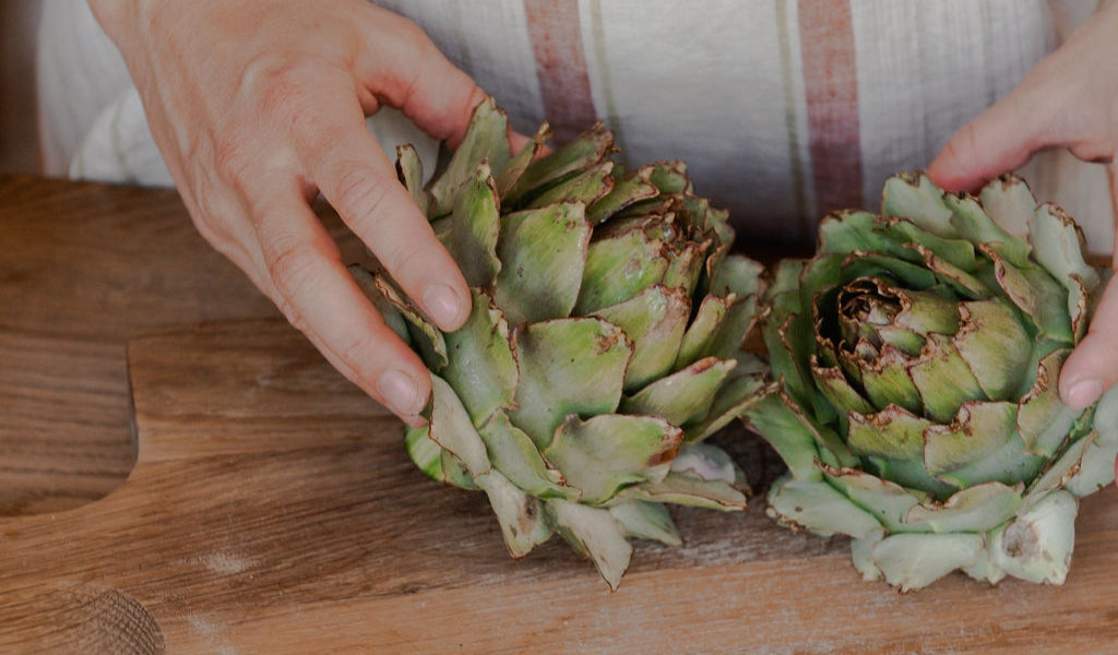 How your liver and gut microbes work together to protect your health