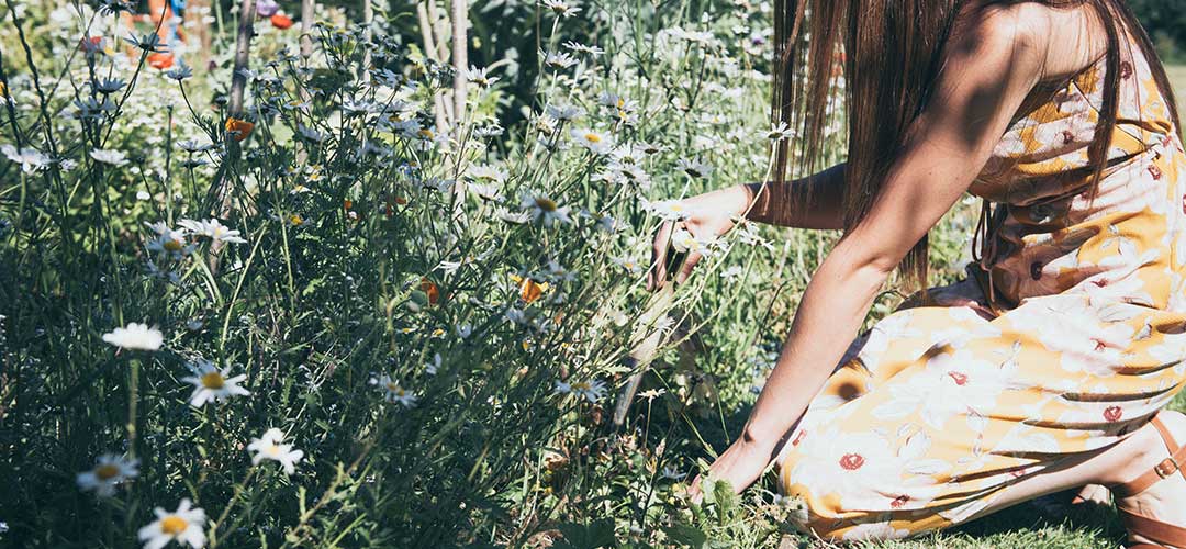 Saving the planet can start in your garden