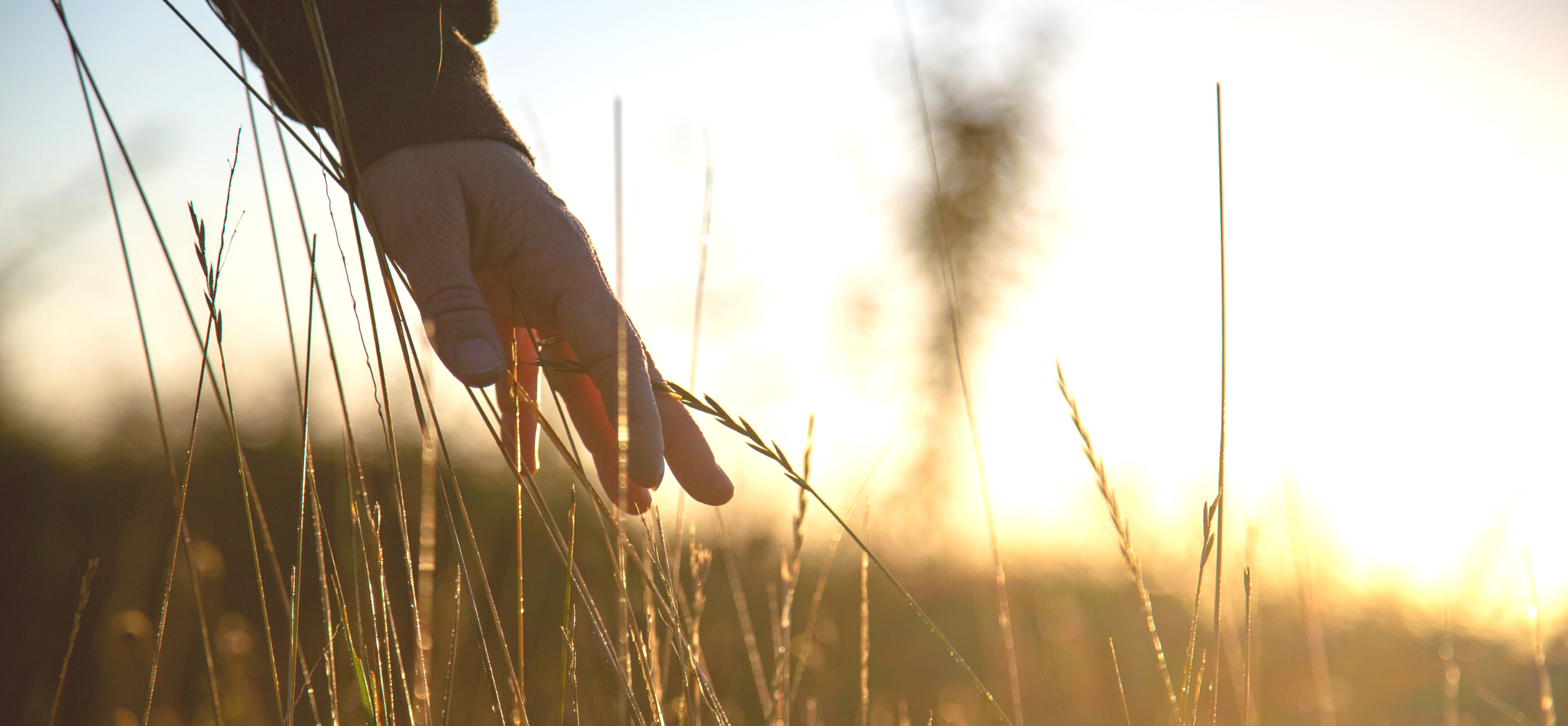 How much do you trust nature?