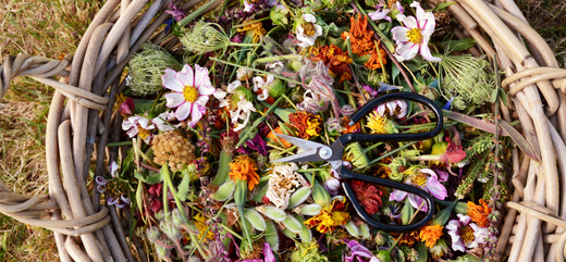 |book cover - Dave Goulson, The Garden Jungle winter garden tips