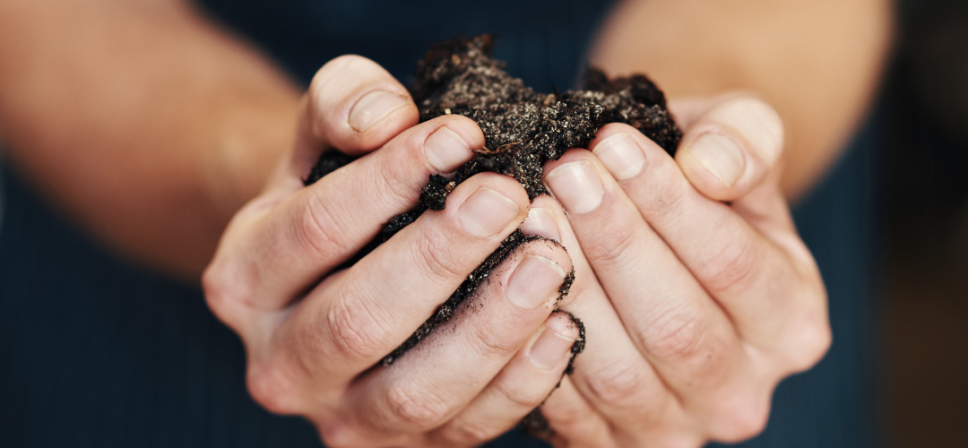 Do you want a healthy garden that is full of life? Try using probiotics