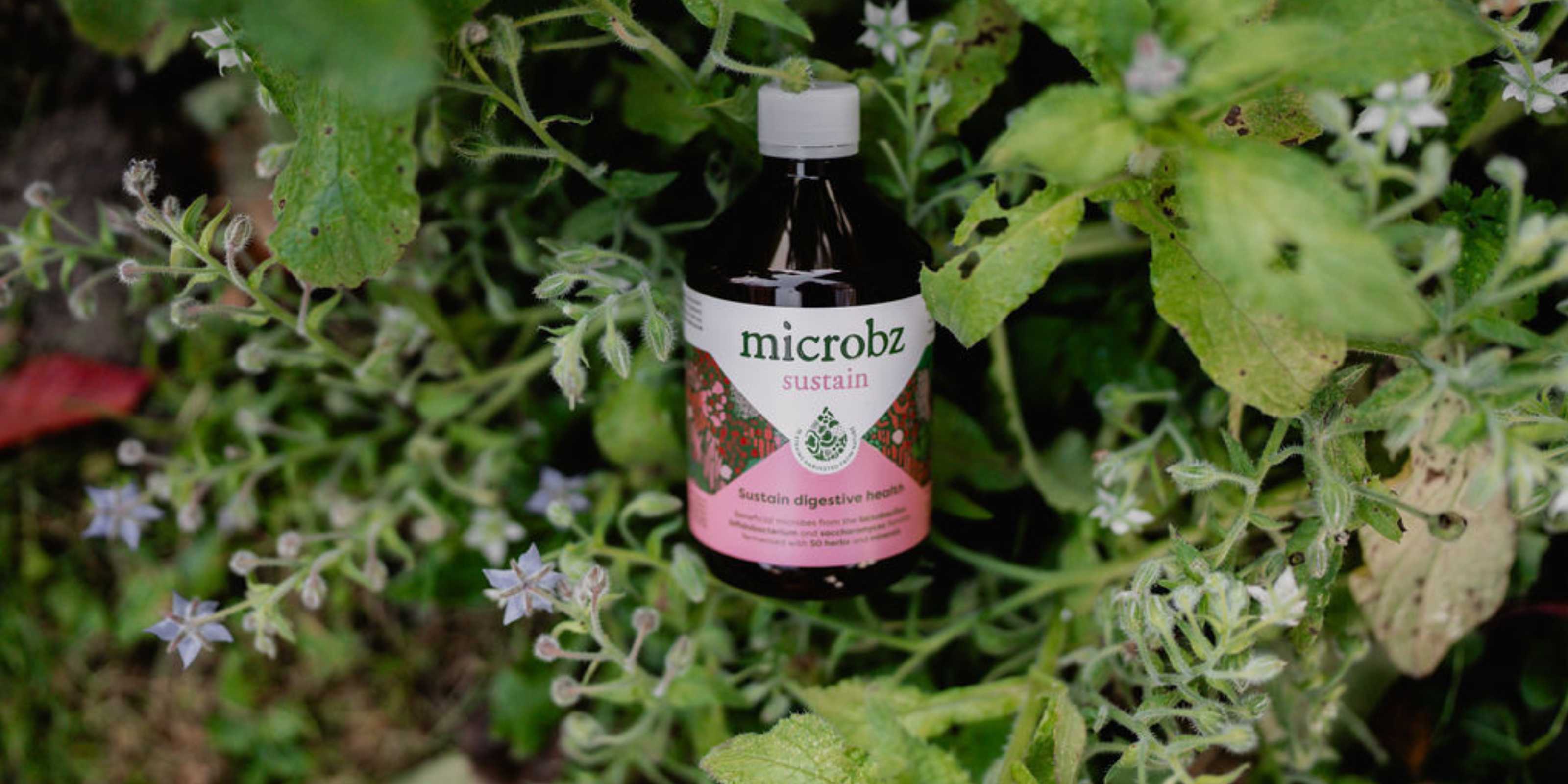 Our journey to eco-friendly packaging