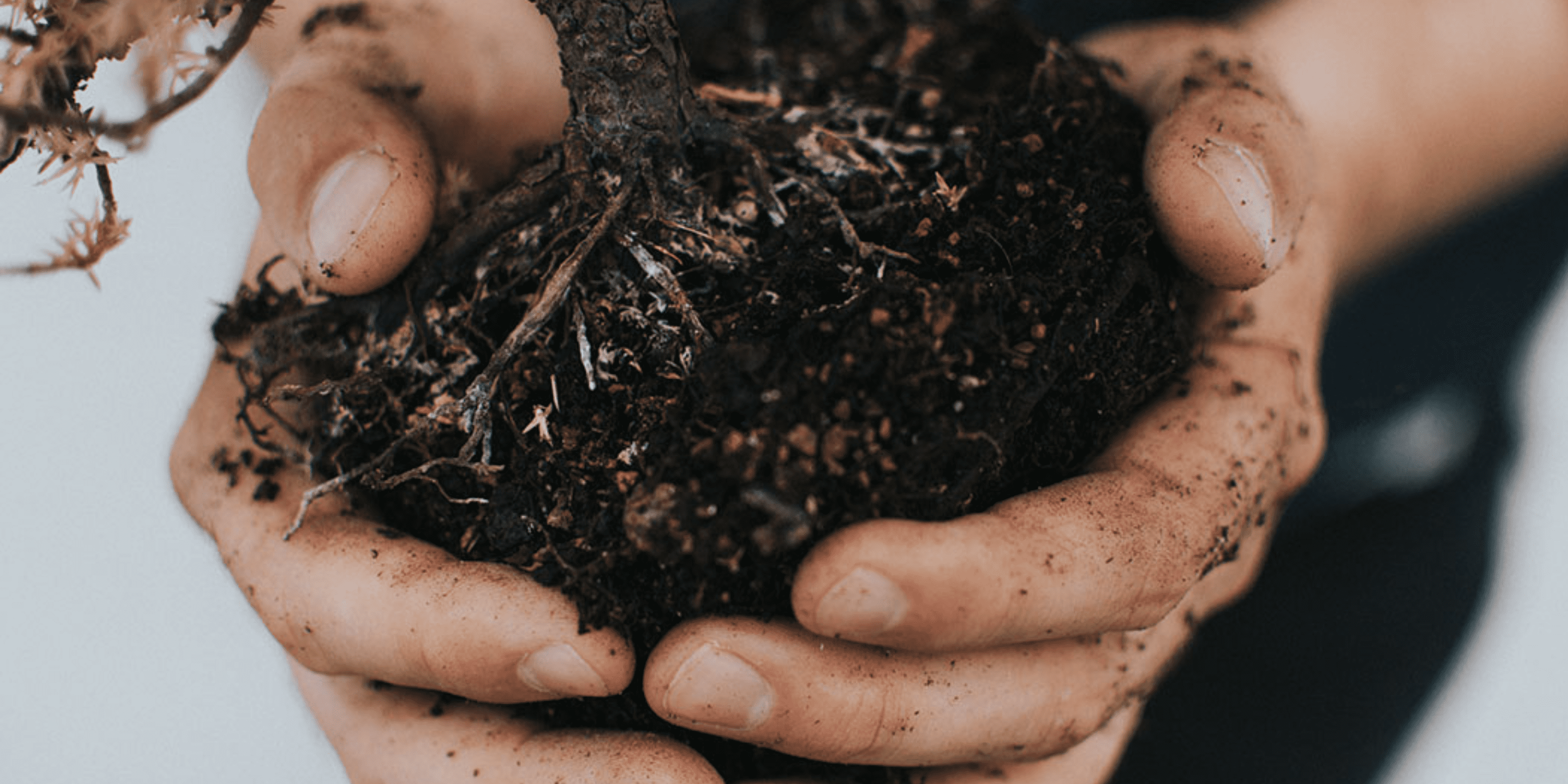 hands holding soil