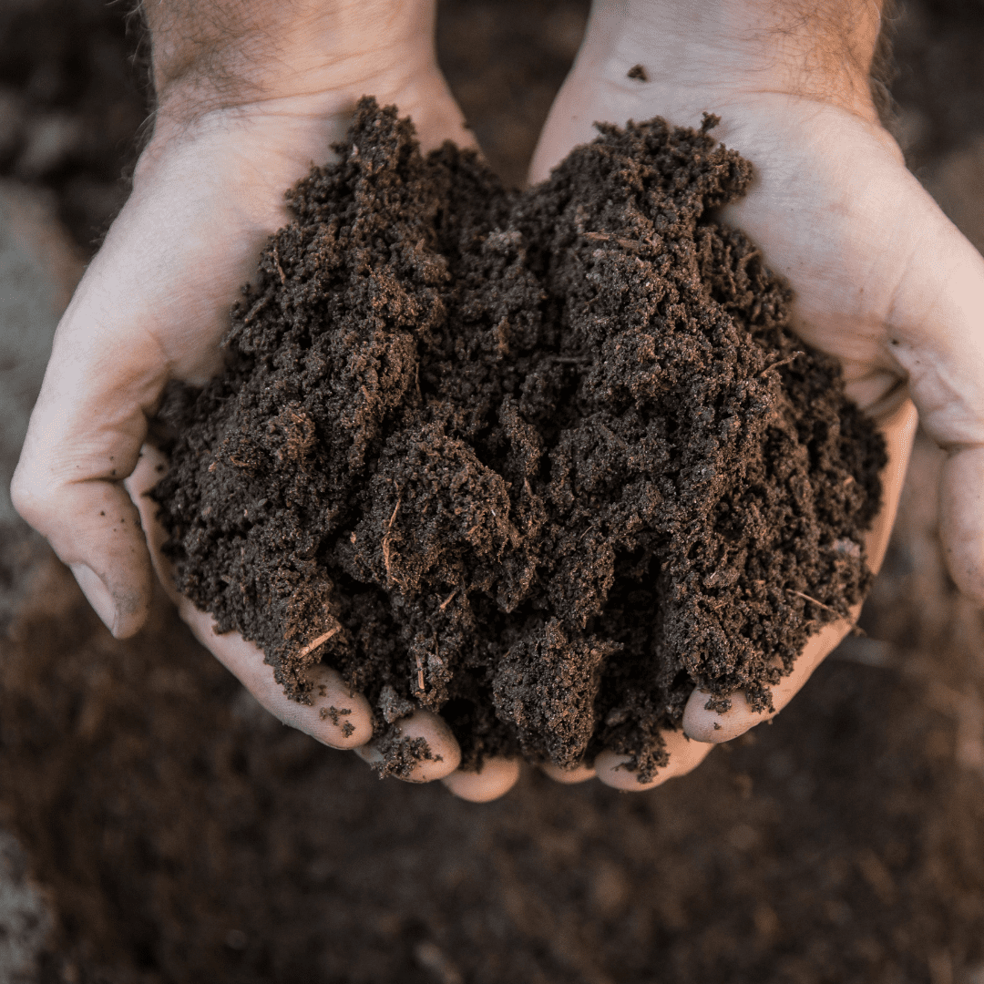 hands holding soil