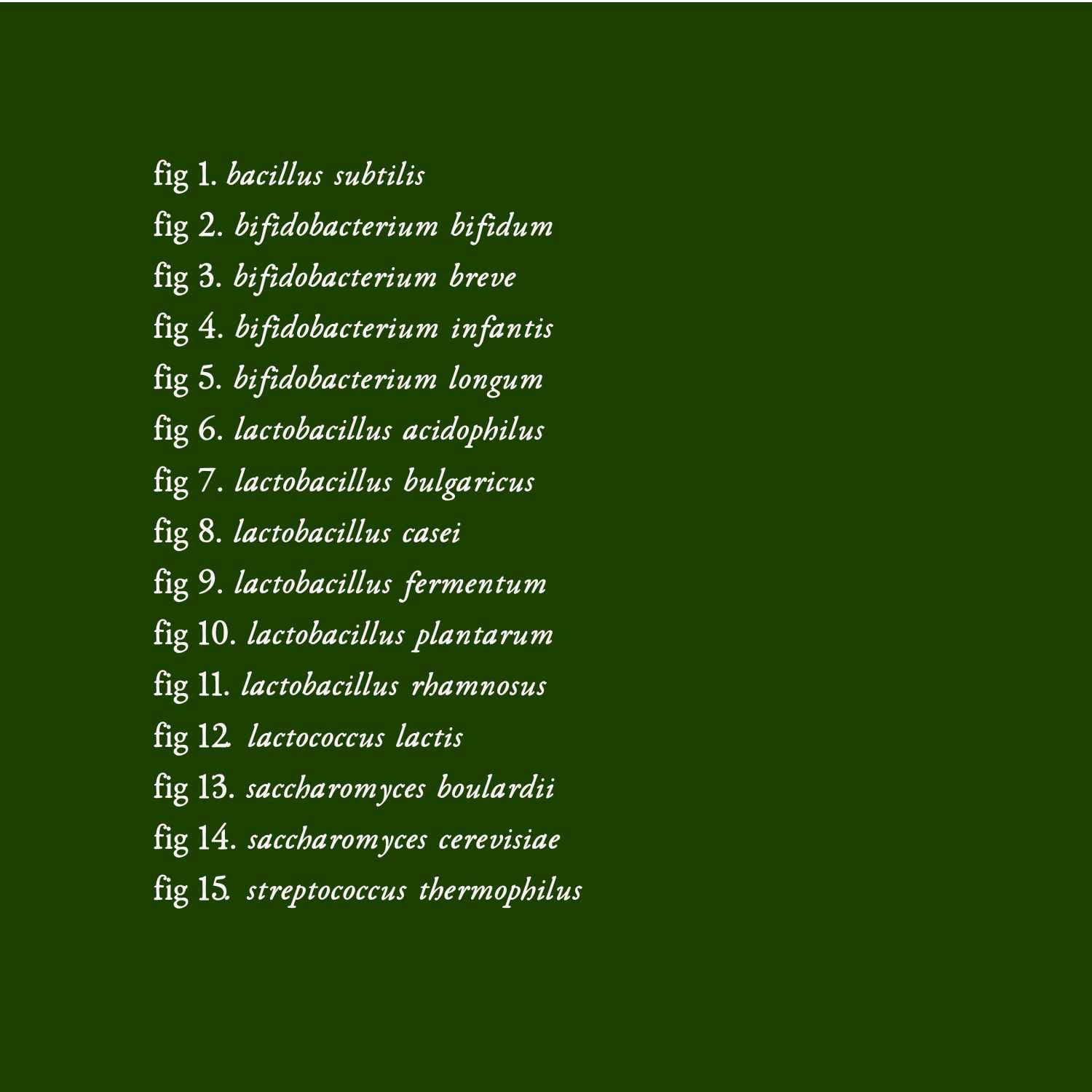 fig 1. bacillus subtilis fig 2. bifidobacterium bifidum fig 3. bifidobacterium breve fig 4. bifidobacterium infantis fig 5. bifidobacterium longum fig 6. lactobacillus acidophilus fig 7. lactobacillus bulgaricus fig 8. lactobacillus casei fig 9. lactobacillus fermentum fig 10. lactobacillus plantarum fig 11. lactobacillus rhamnosus fig 12. lactococcus lactis fig 13. saccharomyces boulardii fig 14. saccharomyces cerevisiae fig 15. streptococcus thermophilus