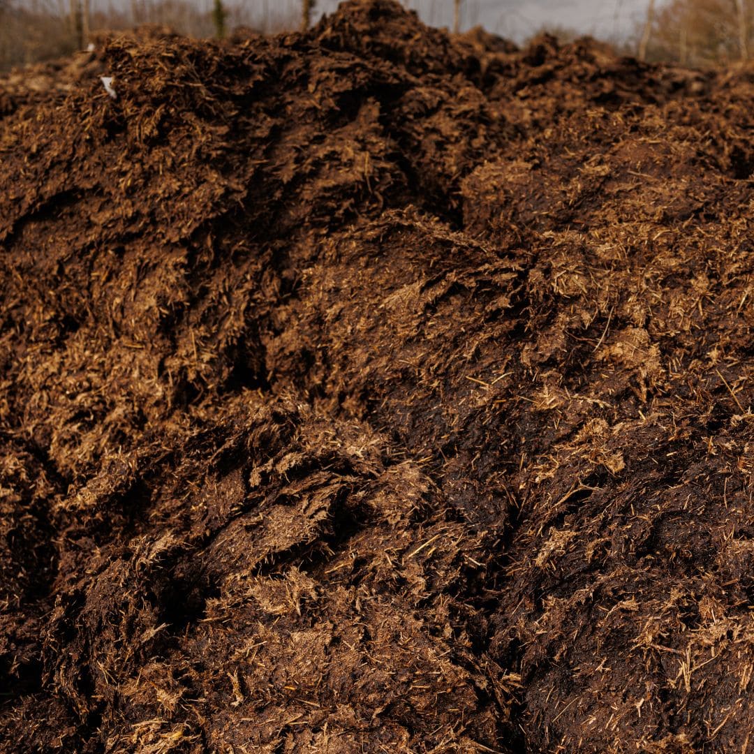 microbz manure