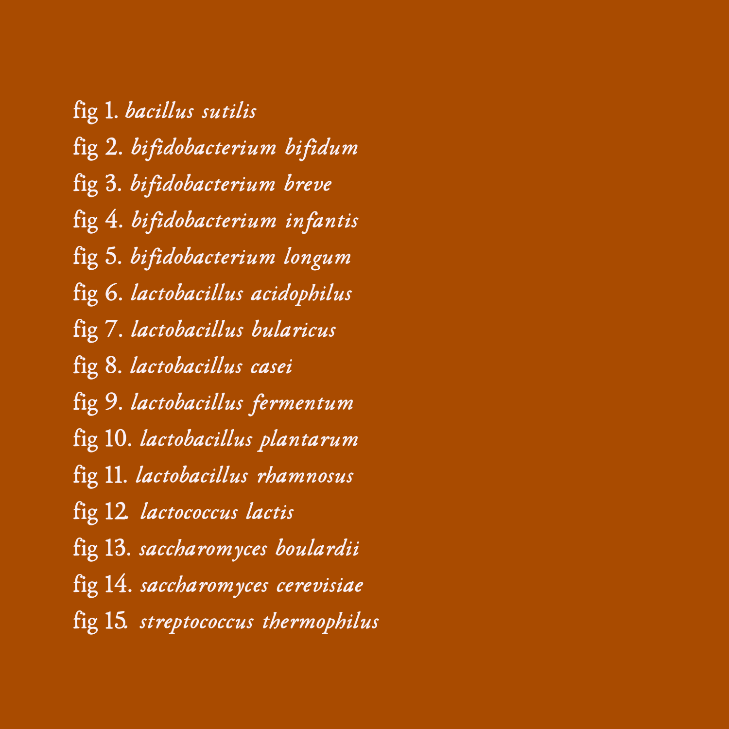 fig 1. bacillus subtilis fig 2. bifidobacterium bifidum fig 3. bifidobacterium breve fig 4. bifidobacterium infantis fig 5. bifidobacterium longum fig 6. lactobacillus acidophilus fig 7. lactobacillus bulgaricus fig 8. lactobacillus casei fig 9. lactobacillus fermentum fig 10. lactobacillus plantarum fig 11. lactobacillus rhamnosus fig 12. lactococcus lactis fig 13. saccharomyces boulardii fig 14. saccharomyces cerevisiae fig 15. streptococcus thermophilus