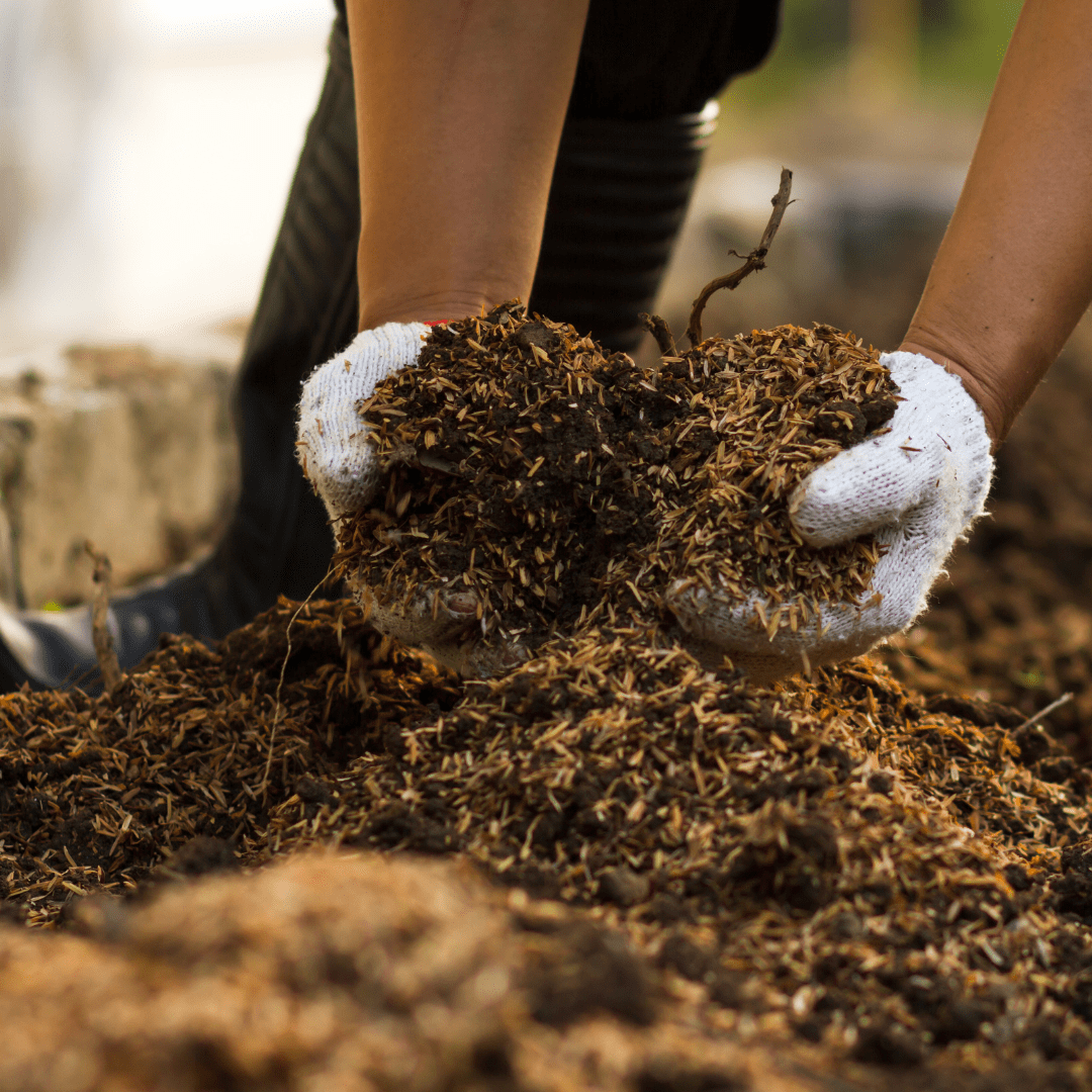 hands in soil