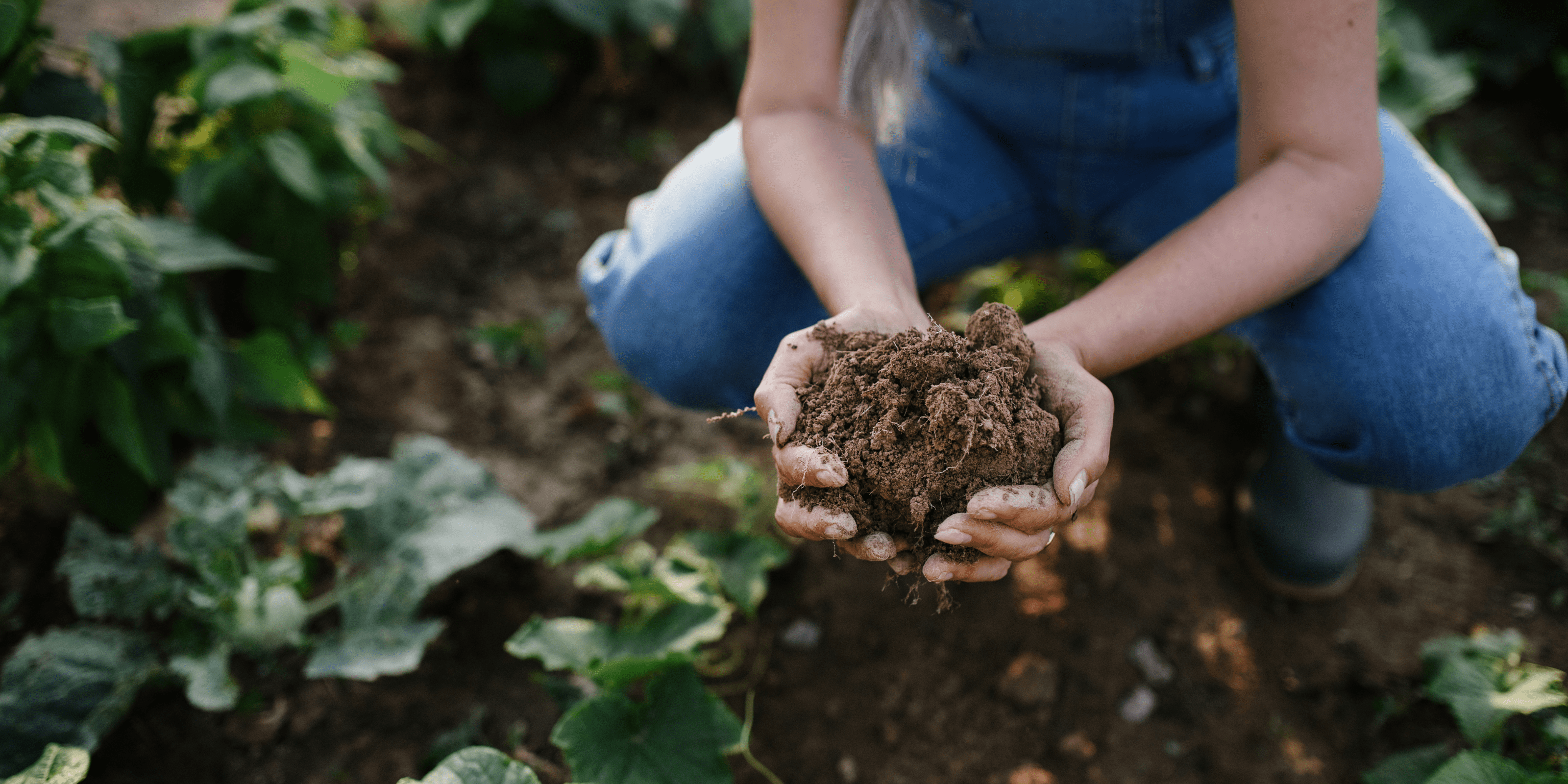 hands holding soil