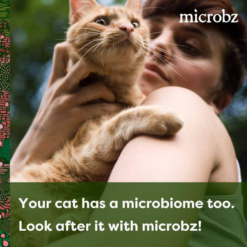 Cat nutrition
