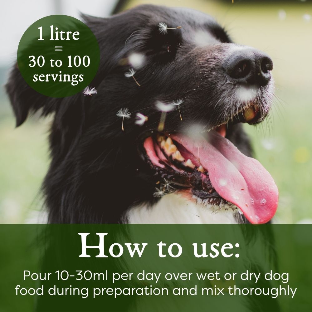 Dog nutrition