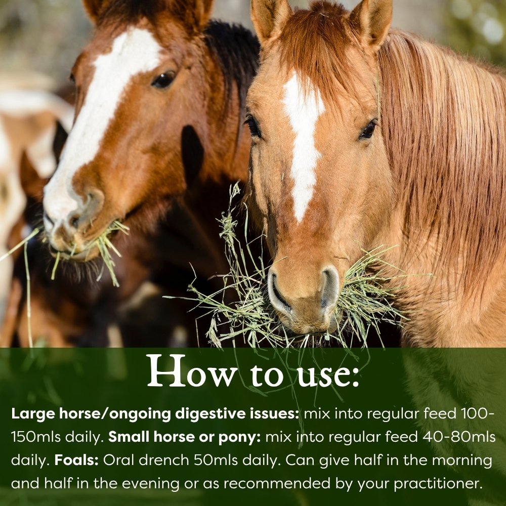 Two horses eating hay with text on how to use a product for digestive issues.