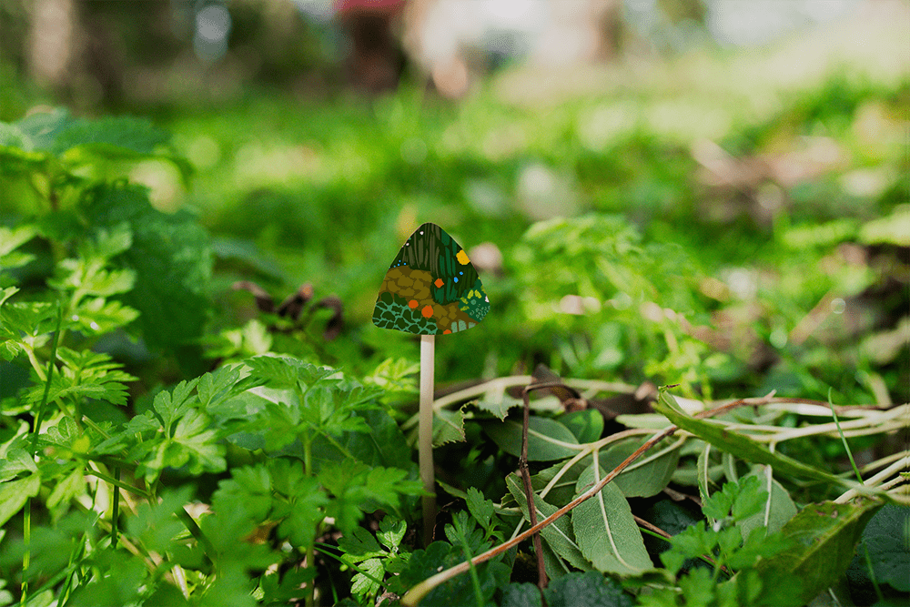 close up of a mushroom growing, the top is illustrated to show microbial diversity 