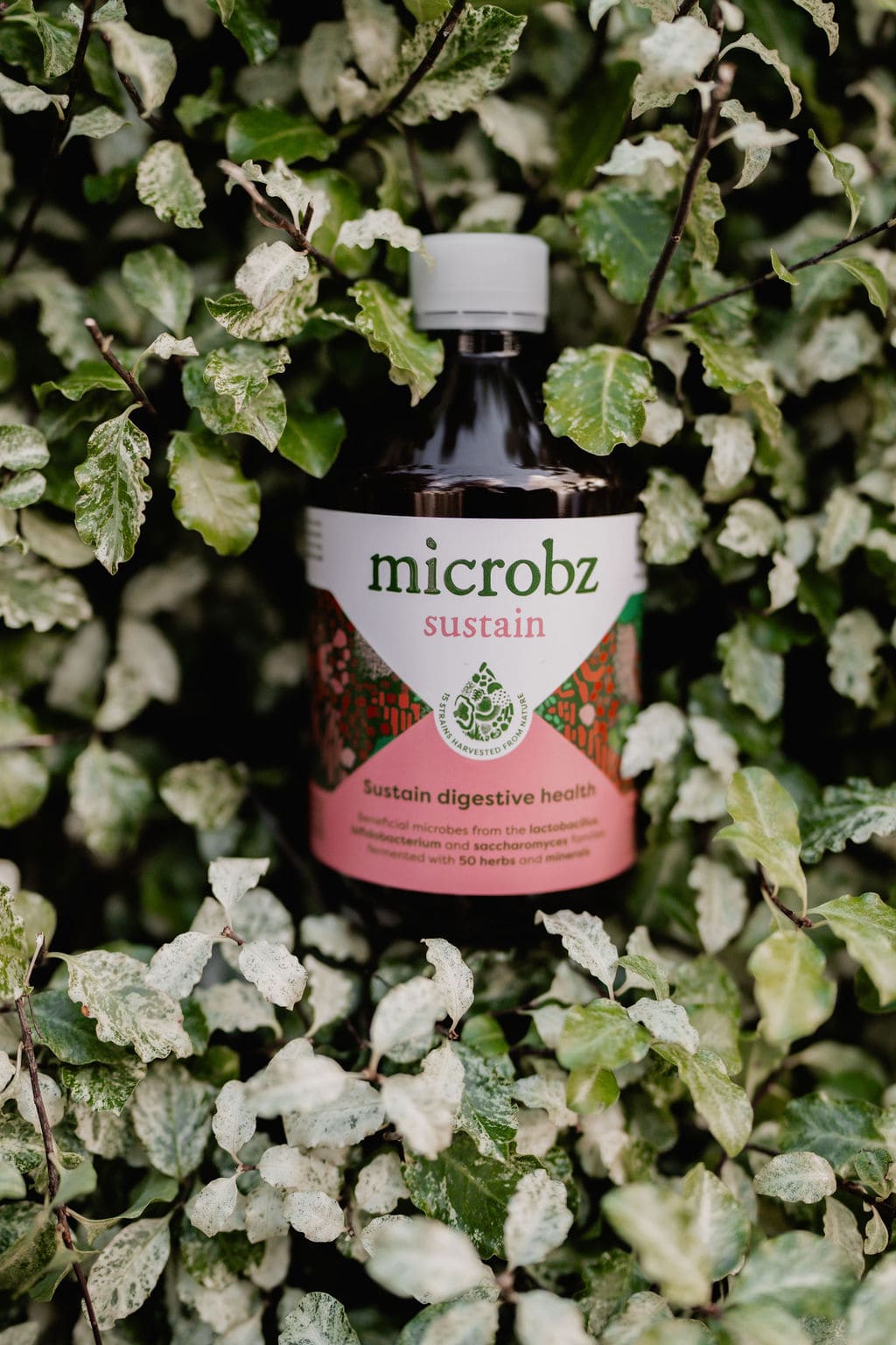 Image of the sustain probiotic in a bush for gut health
