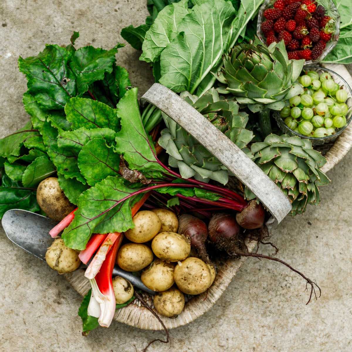 Assorted fresh vegetables including potatoes, leafy greens, and artichokes on a concrete surface.