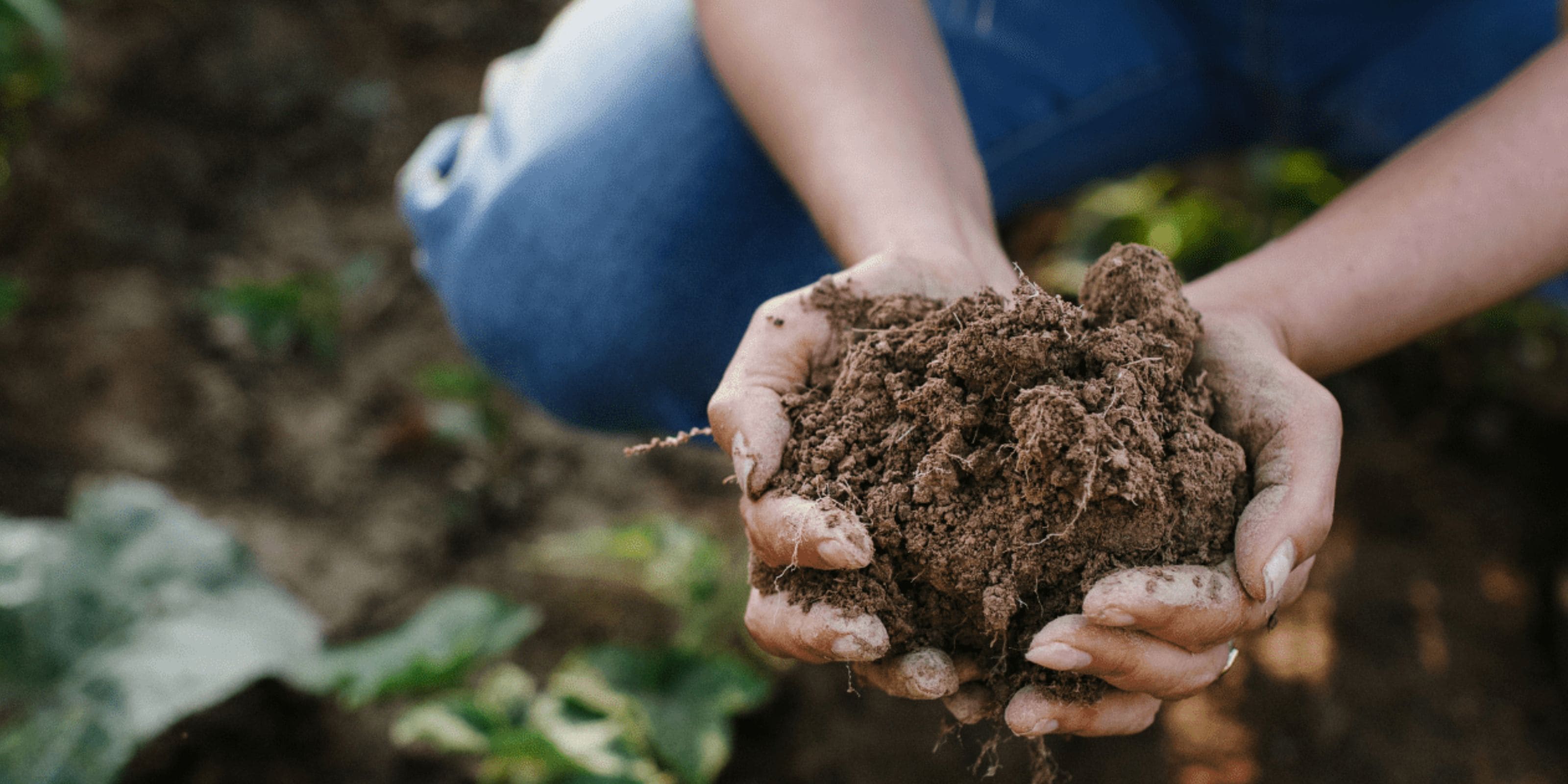 Soil health is human health