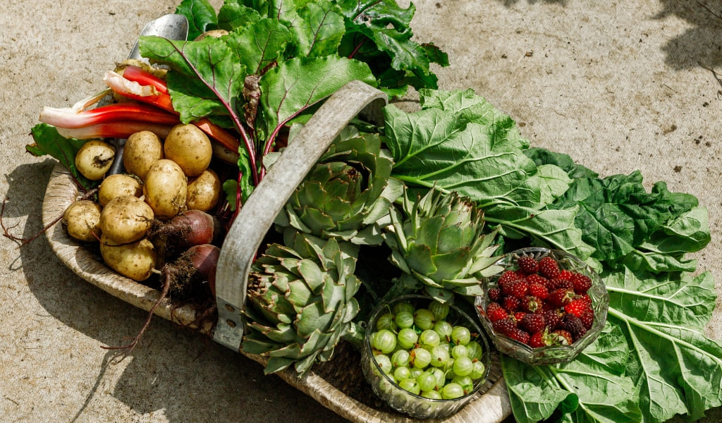 Antioxidants: why they matter more than ever