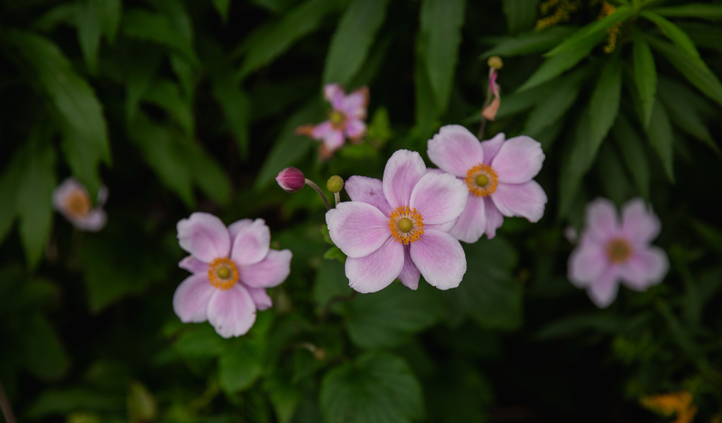 5 ways biodiversity is underpinned by microbes – and what we see from our experience