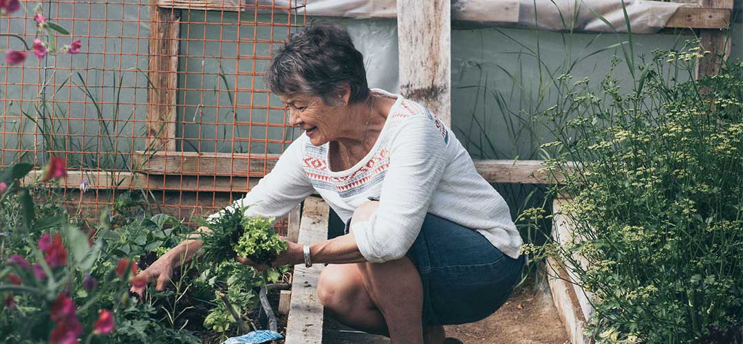 Locked down Easter: co-founder of Microbz Sue gardening in her pollytunnel