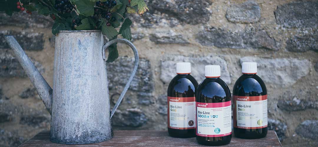 Not all probiotics are the same: three bottles of Bio-Live on a bench outside with flowers