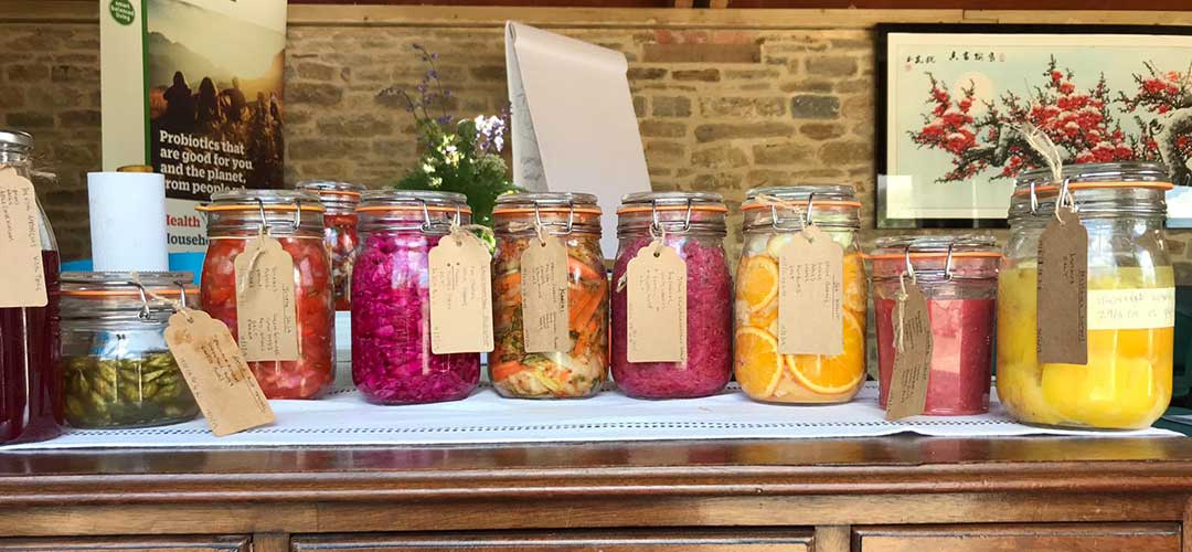 Fermentation: the ancient microbial technology changing how we think about health