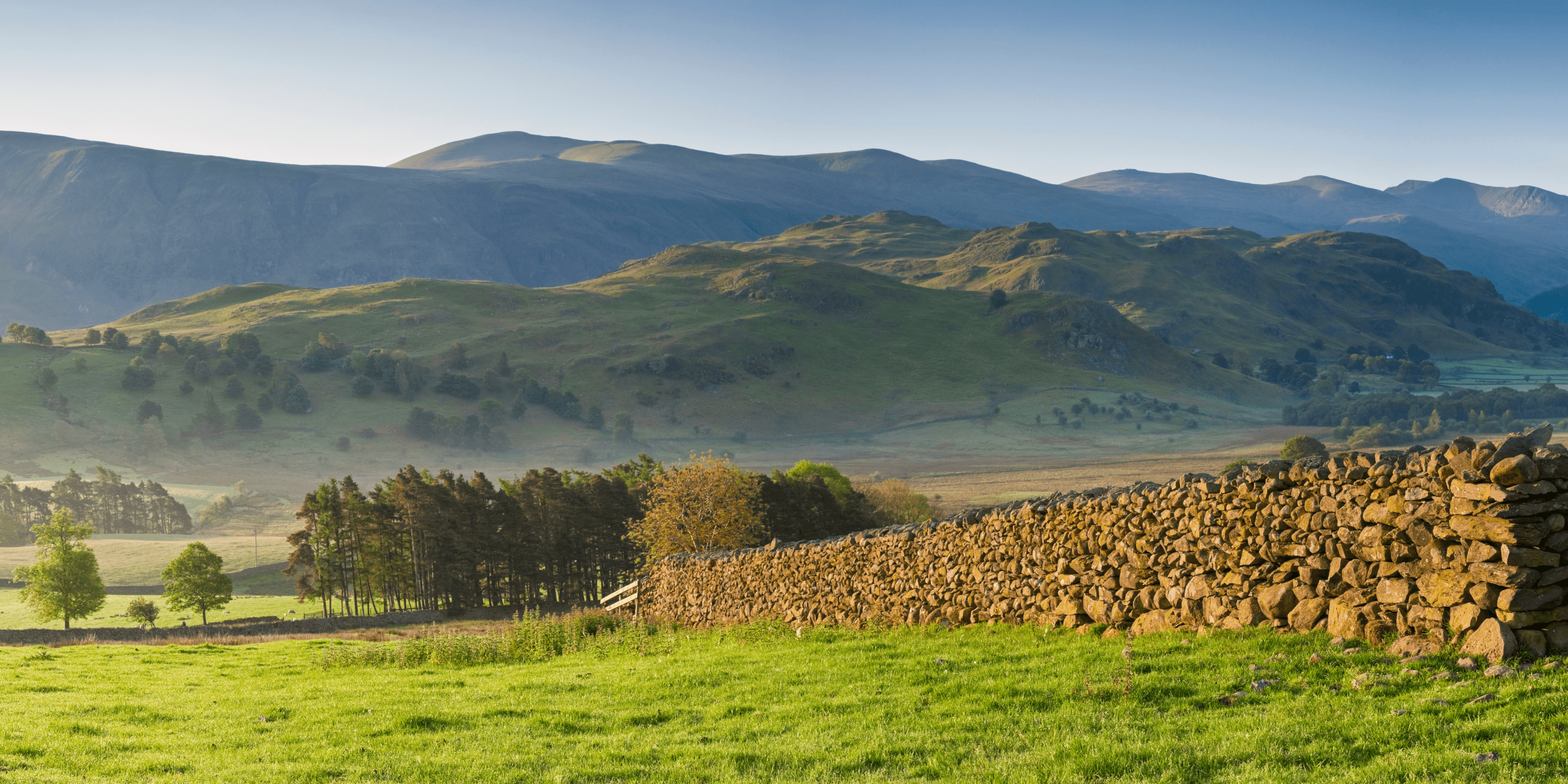 field and mountains