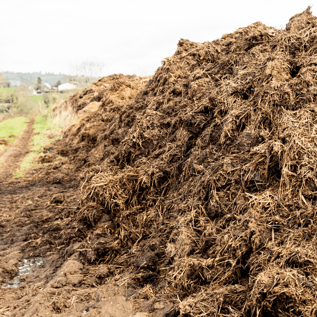 large pile of compost