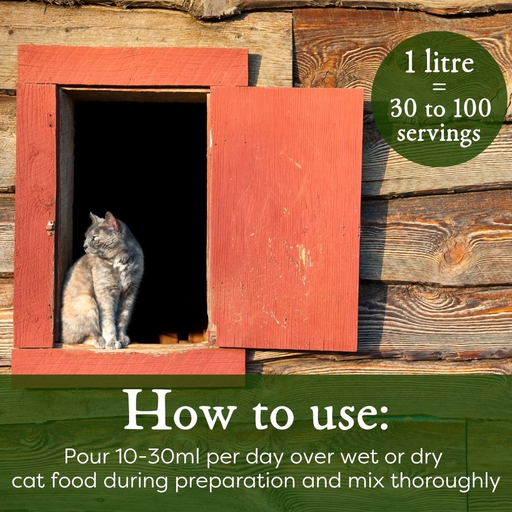 Cat nutrition