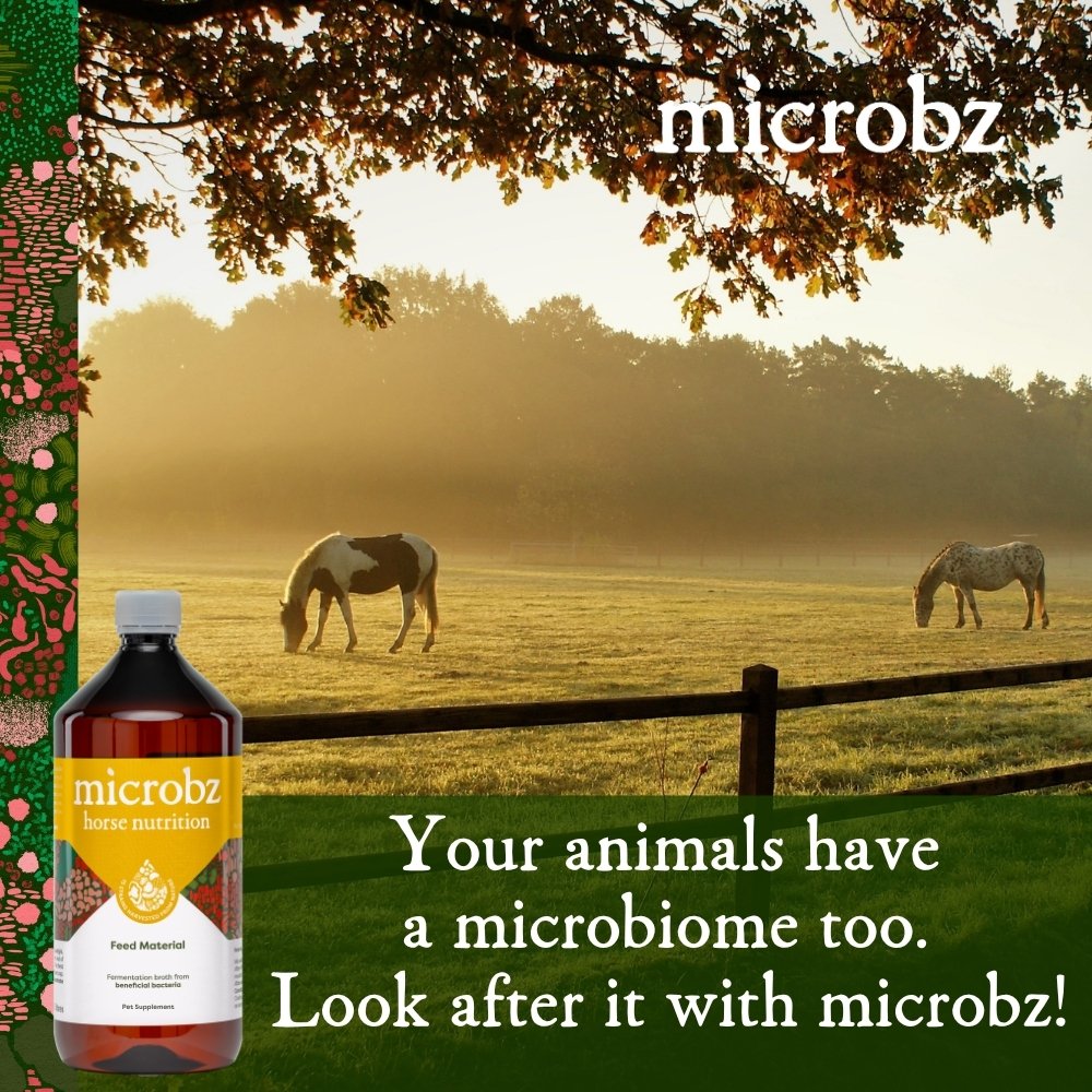 Horse nutrition