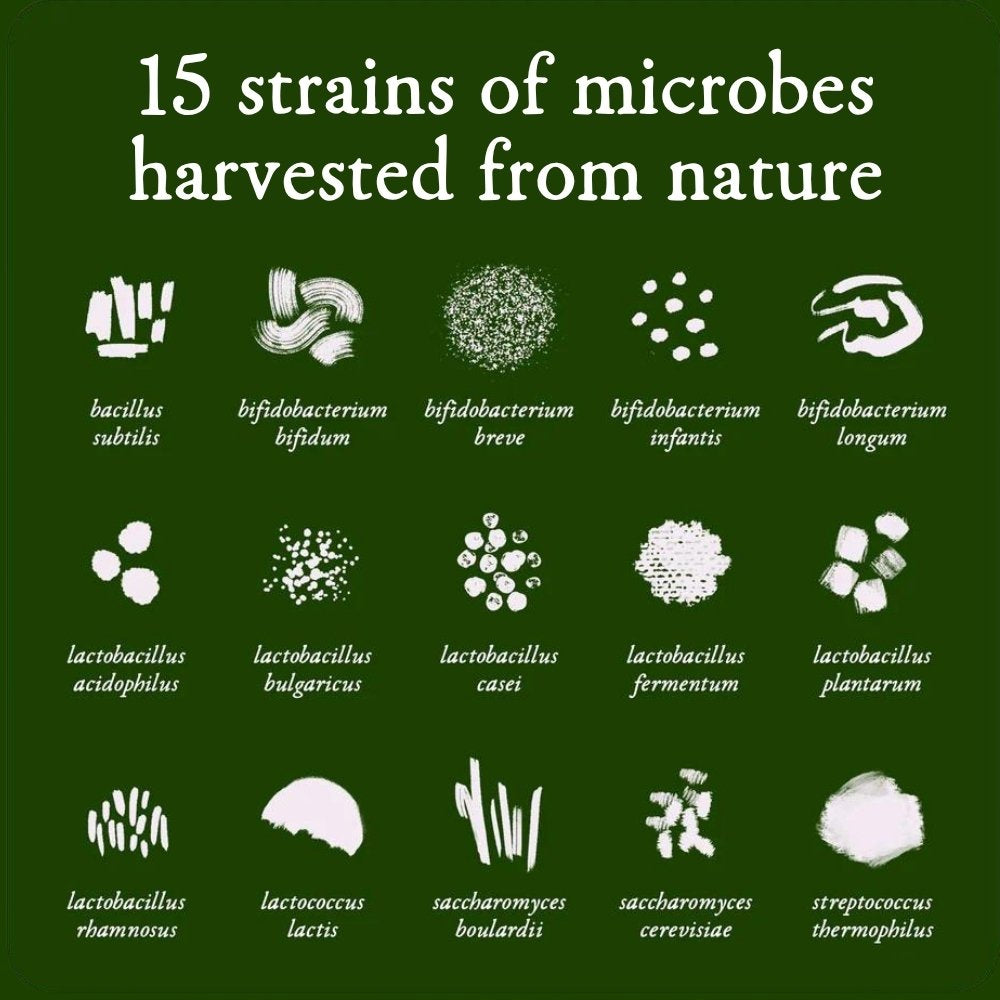 Illustrations of 15 strains of microbes with their names on a green background