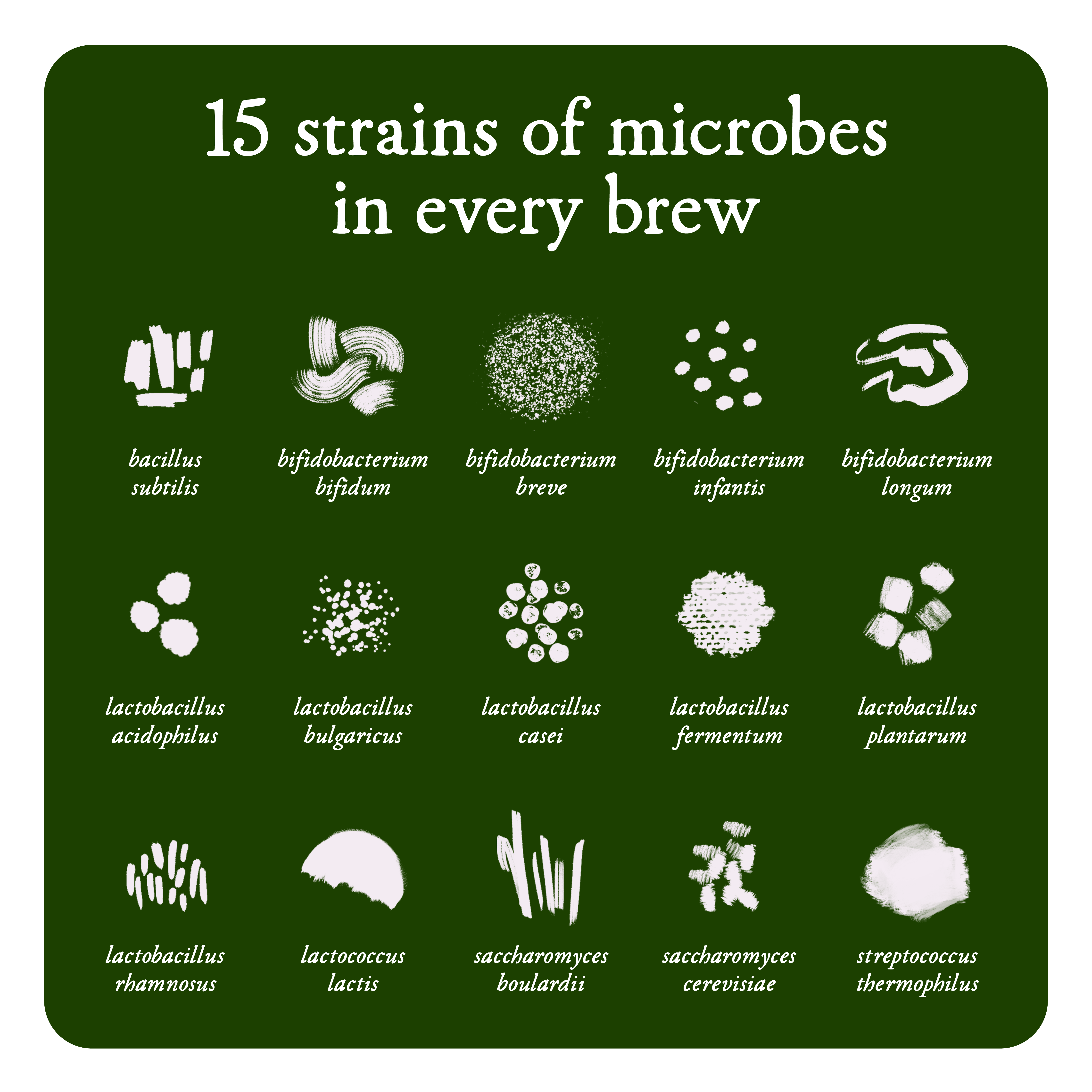 15 strains of microbes in every brew, illustration of microbz 15 strains of microbes 