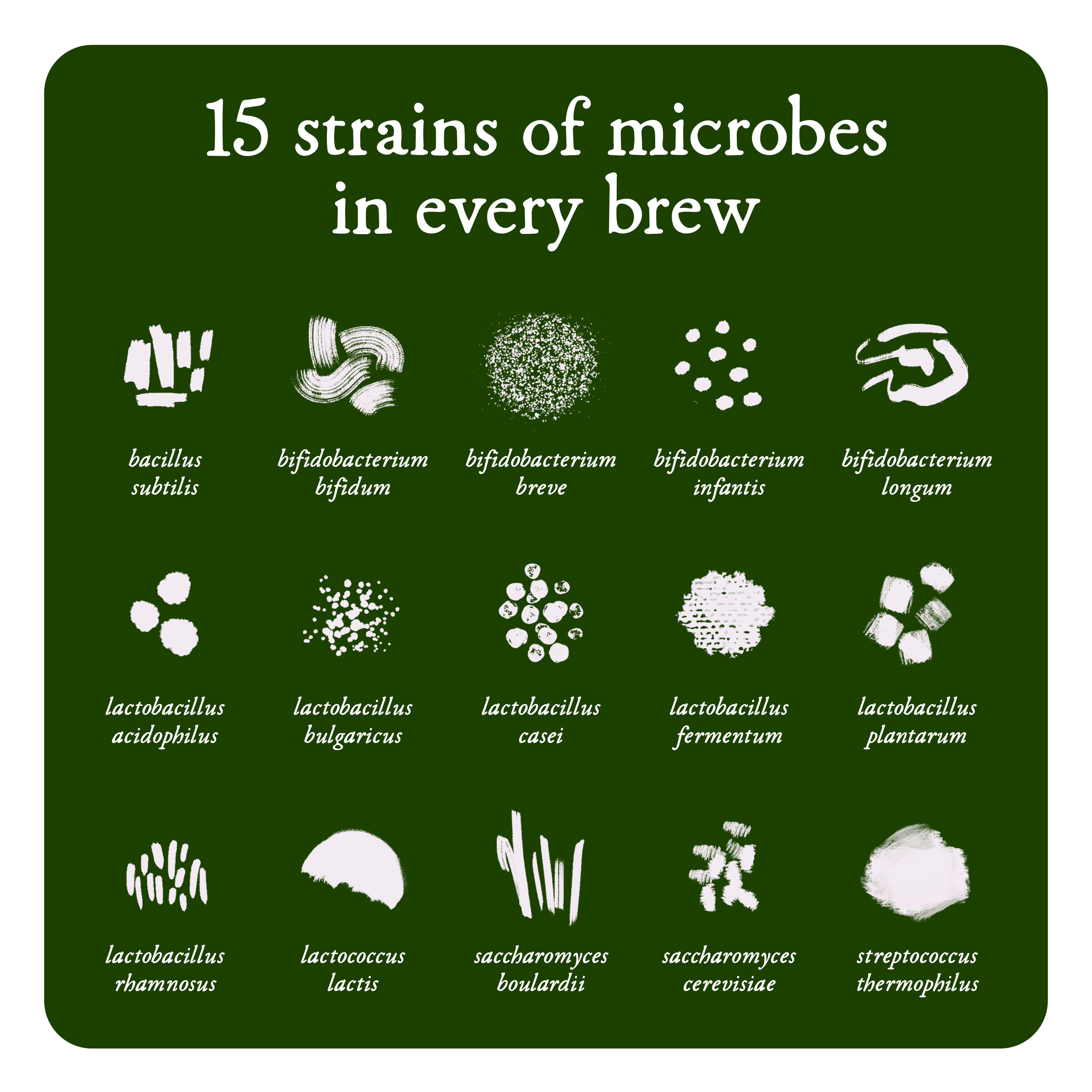 15 strains of microbes in our kids probiotics and baby probiotics