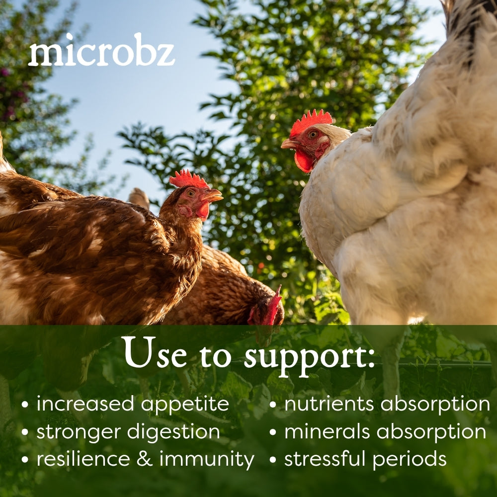 Poultry nutrition