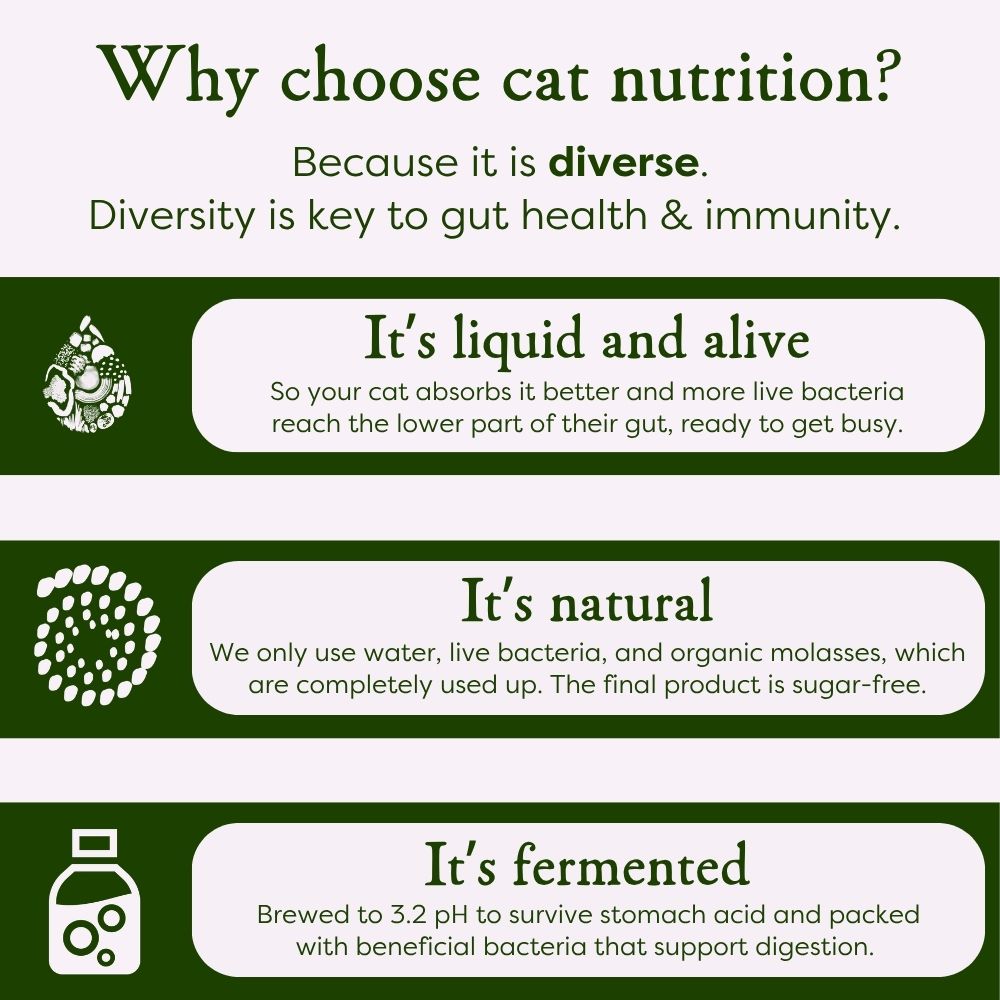 Cat nutrition