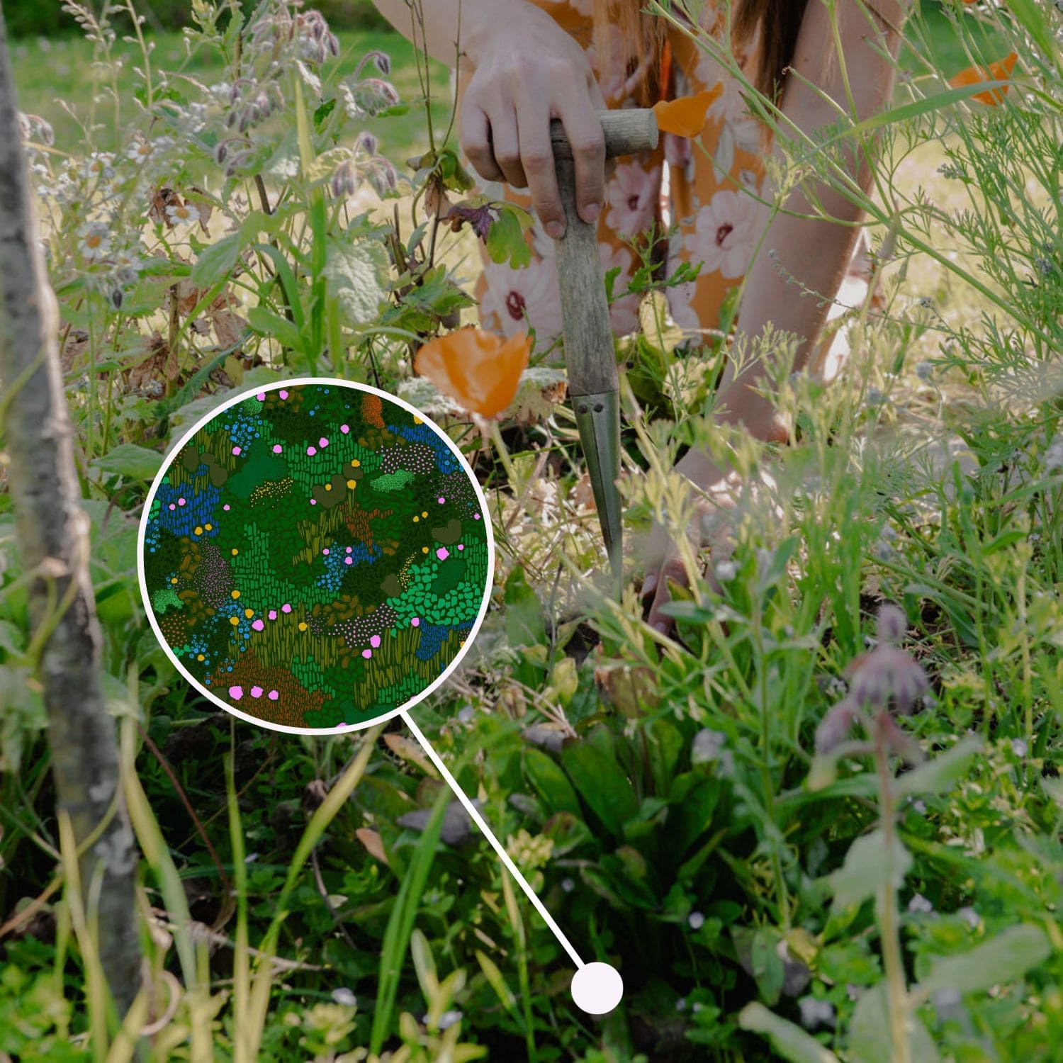 a woman gardening with a cut out close up illustration of the hidden world of microbes. This is using natural gardening products