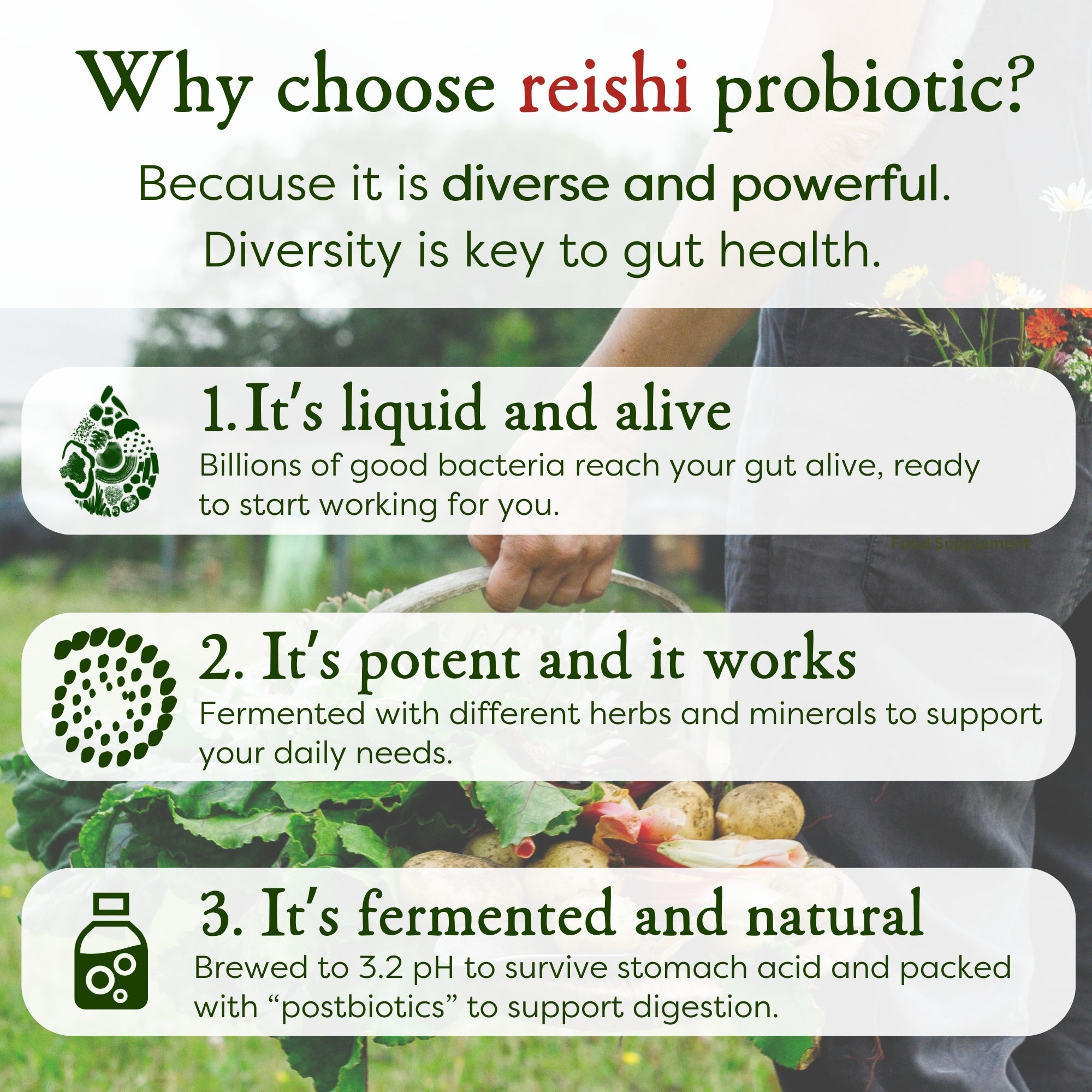 Reishi