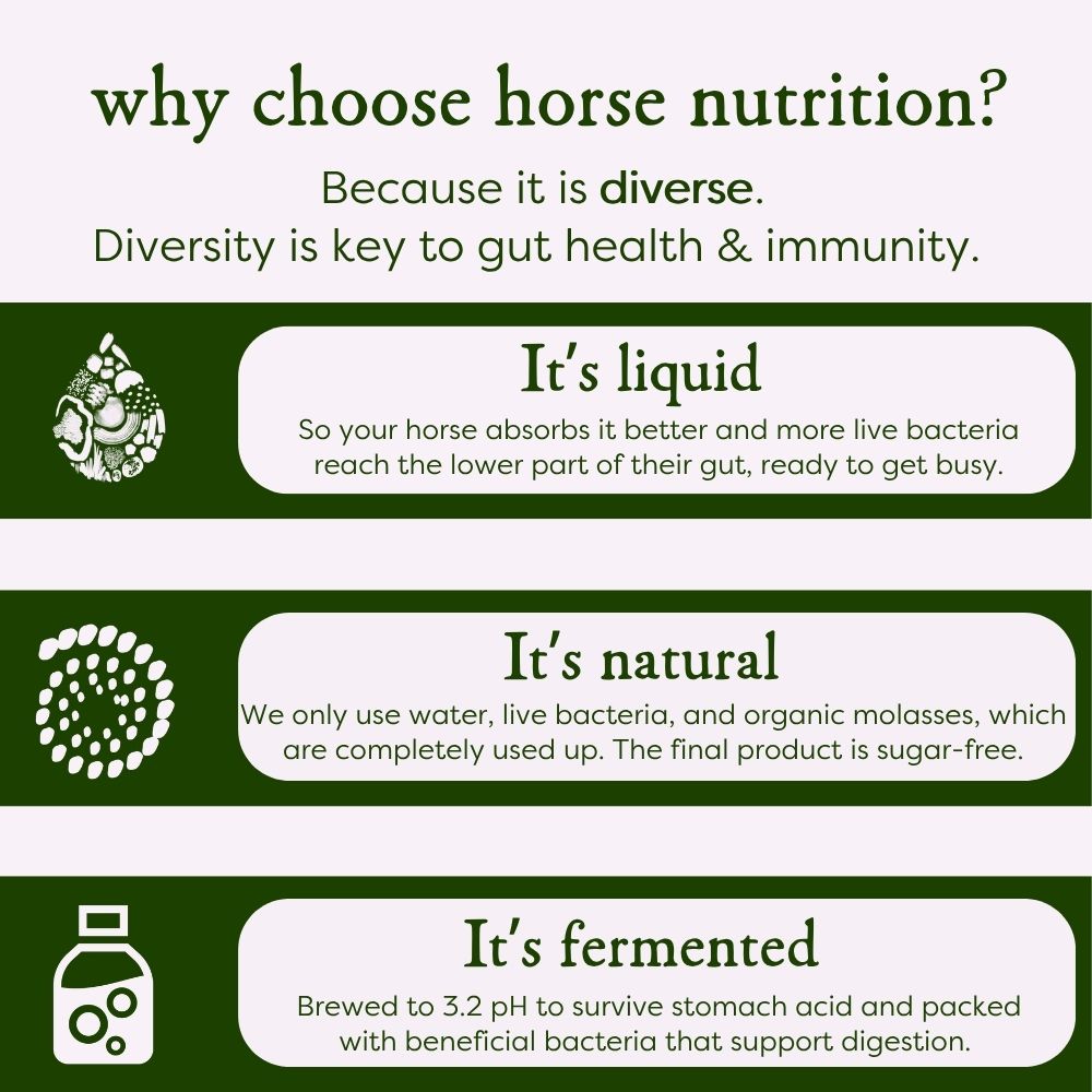 Horse nutrition product  description with green and white color scheme which is a  horse gut supplement 